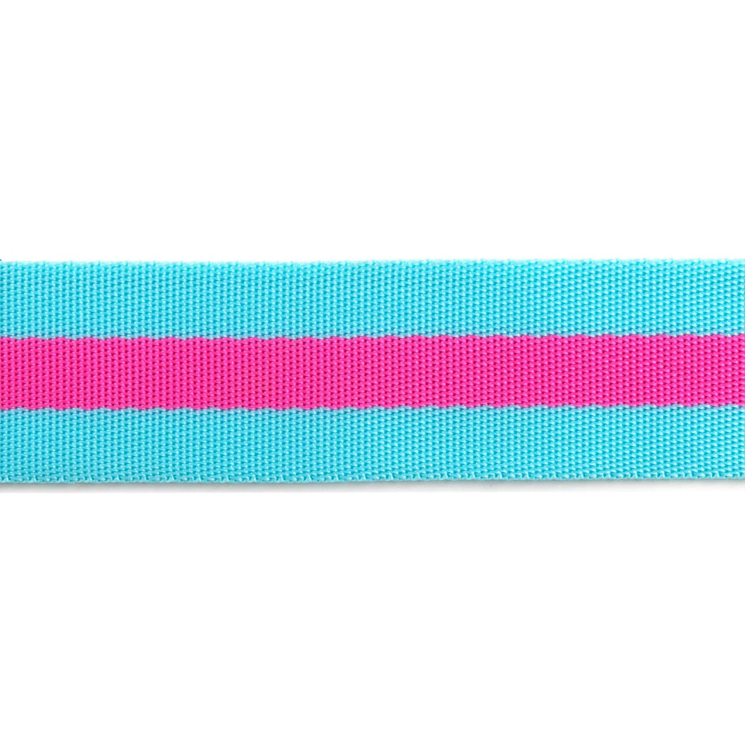 Tula Pink Webbing 2yd x 1.5in - Aqua & Pink